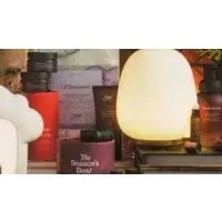 Saje Wellness – 40% Off