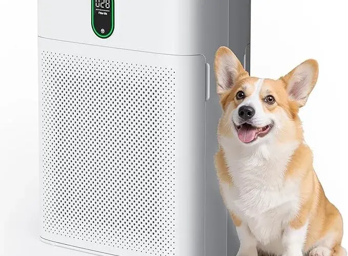 Air Purifiers for Home Large Room Bedroom