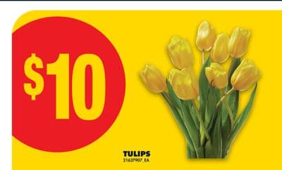 TULIPS