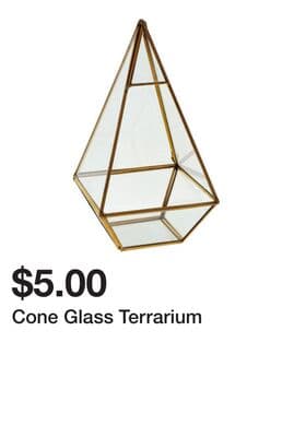 Cone Glass Terrarium