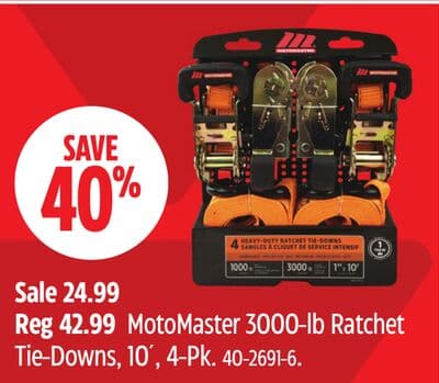 MotoMaster 3000-lb Ratchet Tie-Downs, 10´