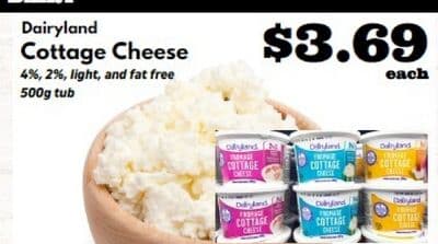 Dairyland Cottage Cheese