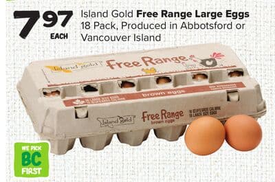 Island Gold Free Range Large Eggs