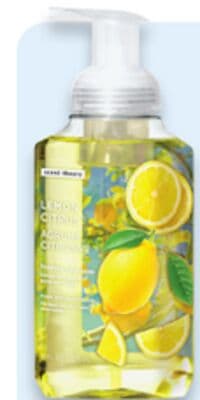 Scent Theory hand soap