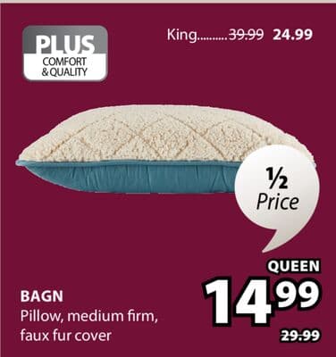 BAGN Pillow