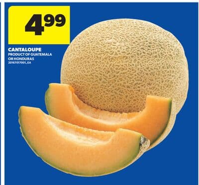 CANTALOUPE