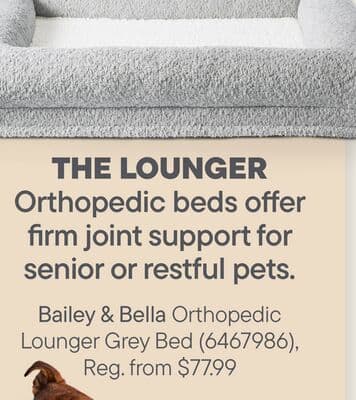 Bailey & Bella Orthopedic Lounger Grey Bed