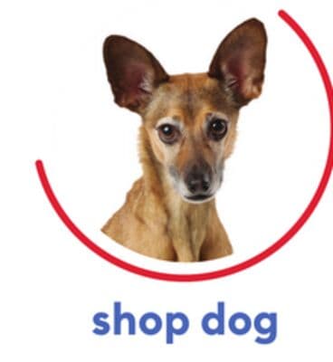 shop dog