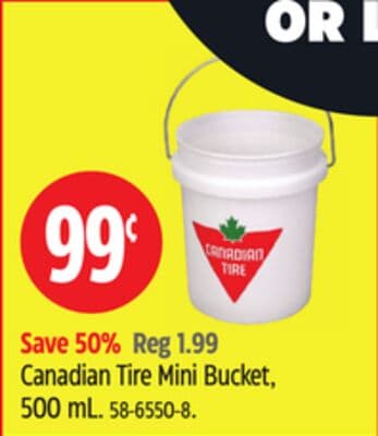 Canadian Tire Mini Bucket