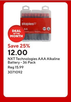 NXT Technologies AAA Alkaline Battery - 36 Pack