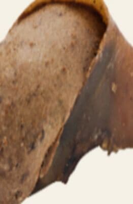 Rollover Beef with Pumpkin Stuffed Hooves