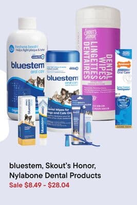 bluestem, Skout's Honor, Nylabone Dental Products