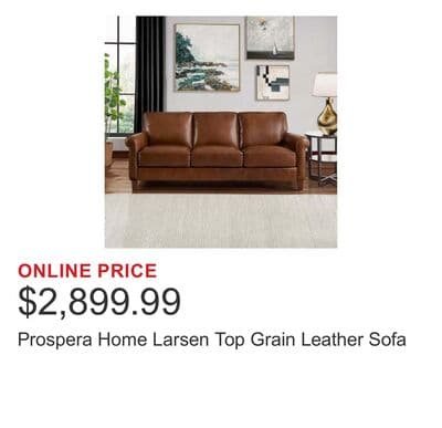 Prospera Home Larsen Top Grain Leather Sofa