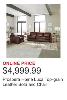Prospera Home Luca Top-grain Leather Sofa and Chair