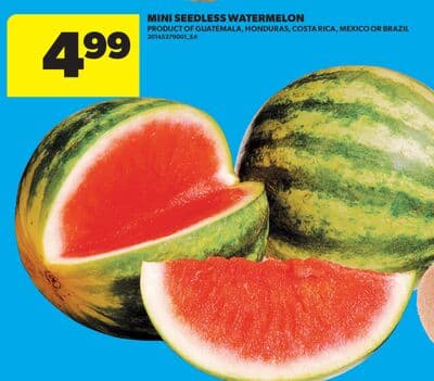 MINI SEEDLESS WATERMELON