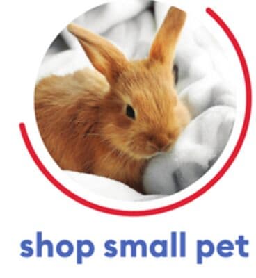shop small pet