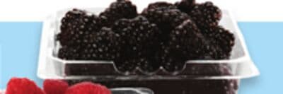 blackberries 170 g