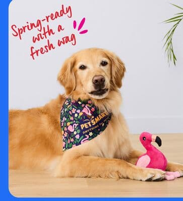 National Adoption Week Learn More