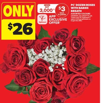PC® DOZEN ROSES WITH BABIES BREATH