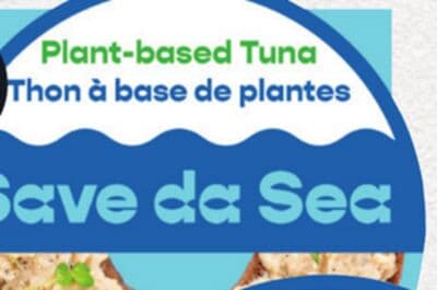 Save Da Sea Spreads