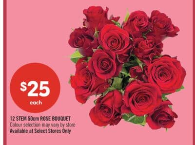 12 STEM 50cm ROSE BOUQUET