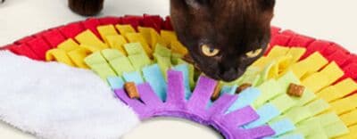 JUMP! Rainbow Snuffle Cat Mat