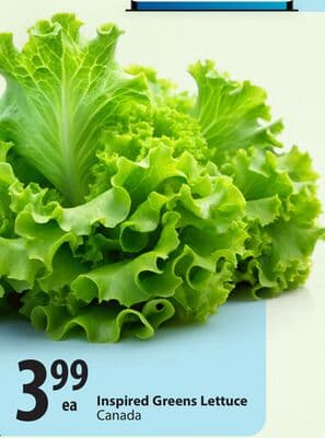 Inspired Greens Lettuce