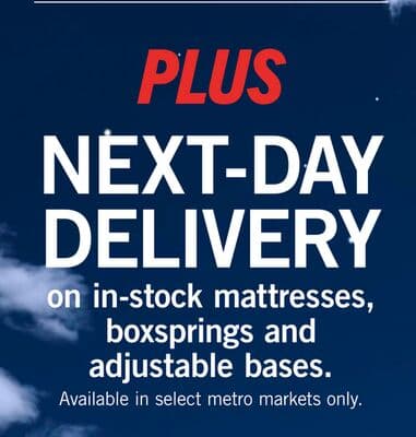 PLUS NEXT-DAY DELIVERY
