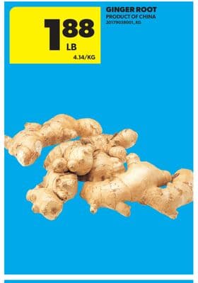 GINGER ROOT