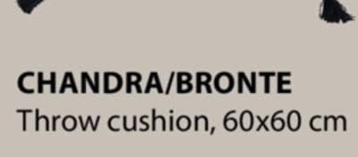 CHANDRA/BRONTE Throw cushion