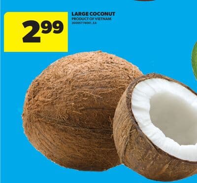 LARGE COCONUT