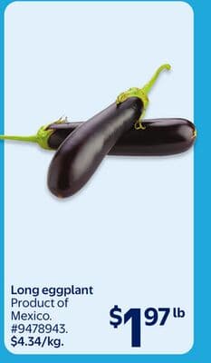 Long eggplant