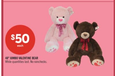 48" JUMBO VALENTINE BEAR