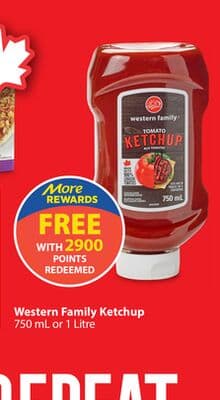 Western Family Ketchup