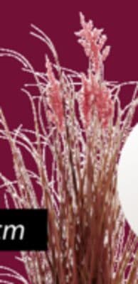 MARKUSFLUE / GRASUGGA Artificial beach grass