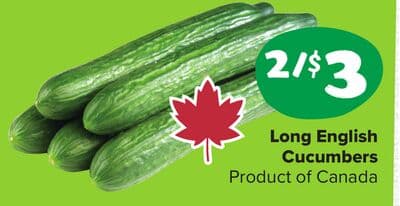 Long English Cucumbers