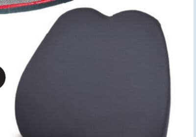 CAR PASS Memory Foam Lumbar Cushion.