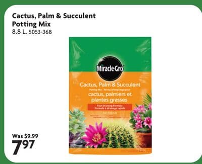 MIRACLE-GRO Cactus, Palm & Succulent Potting Mix