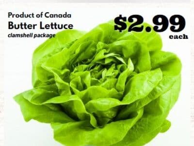 Butter Lettuce