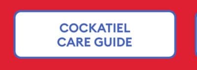 COCKATIEL CARE GUIDE