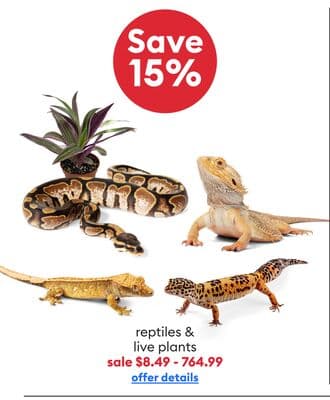 Save 15% reptiles & live plants