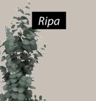 Ripa Artificial potted plant
