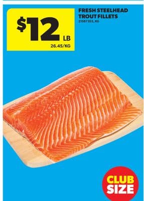 FRESH STEELHEAD TROUT FILLETS