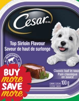 Cesar Wet Dog Food