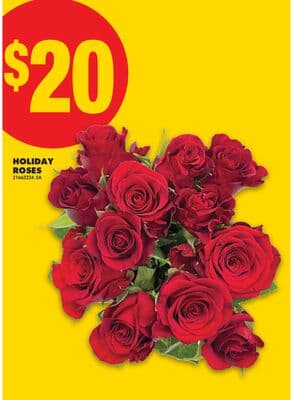 HOLIDAY ROSES