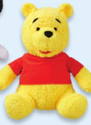 Licensed fuzzy pillows