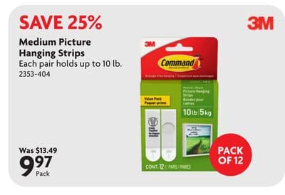 Medium Picture Hanging Strips