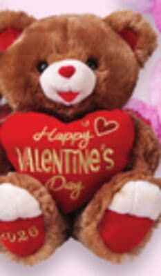 Large Valentine plush