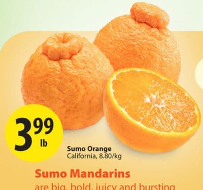 Sumo Orange