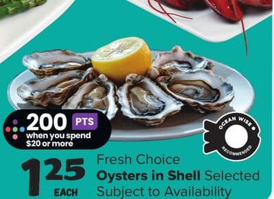 Fresh Choice Oysters in Shell
